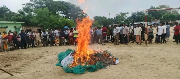 আত্রাইয়ে মোবাইল কোর্ট: ৮০ হাজার টাকার নিষিদ্ধ রিংজাল জব্দ ও ধ্বংস